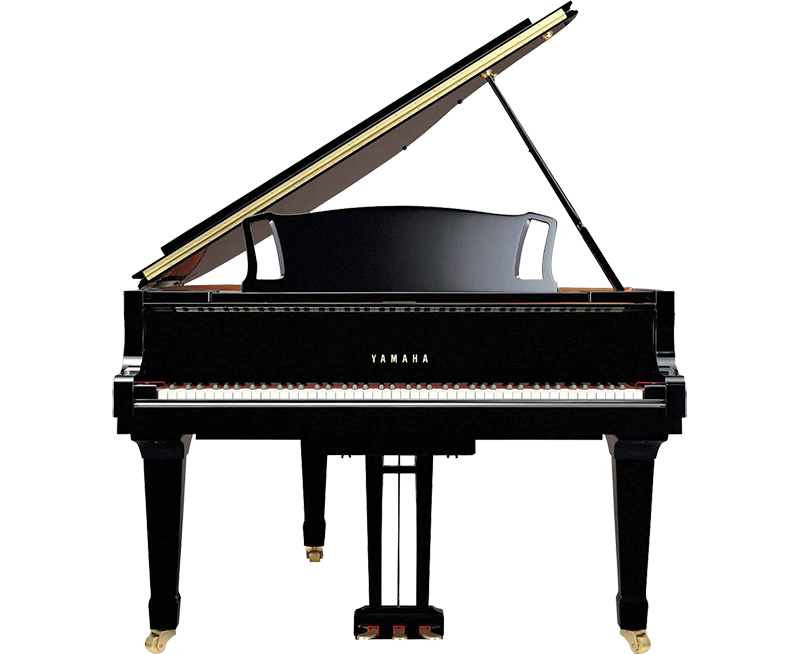 Piano de Cauda